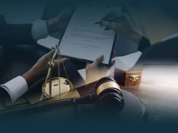 Speed and Efficiency in Establishing Your Company: How to Do It?